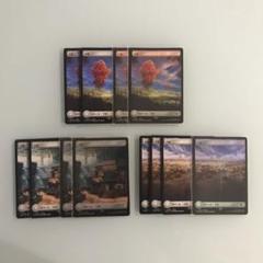 MTG FF 基本土地　平地　フルアート　全12枚