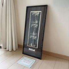 Michael Jordan Blown Up Frame Photos