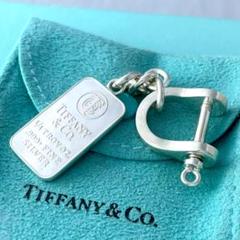 2025年最新】TIFFANY メンズ キーホルダー・キーリングの人気
