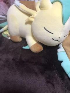 すやすや リーフィアの中古 未使用品を探そう メルカリ