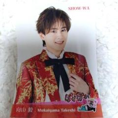 SHOW-WA 向山毅 ブロマイド8枚セット SHOW-WA 向山毅 ブロマイド8枚セット アイドル