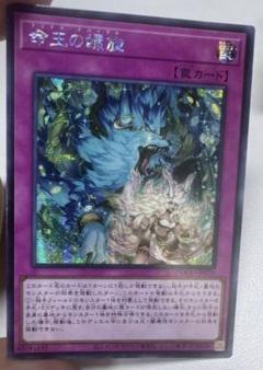 遊戯王 命王の螺旋 ドミナススパイラル シークレット アジア版 3枚セット 遊戯王 命王の螺旋 ドミナススパイラル シークレット アジア版 3