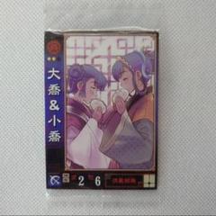 三国志大戦 Ex.003 大喬＆小喬 未使用品 スケルトン
