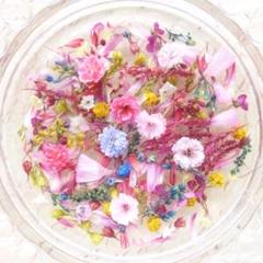 ☆854 ちゃちゃ男 ケイトウ ドライフラワー ミックス 120本 Sea Cat様◇ドライフラワー♡春 花材 mix -セゾン-（424