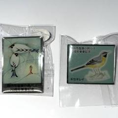 2025年最新】野鳥の会 バッジの人気アイテム - メルカリ
