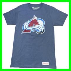 アメカジ NHL コロラドアバランチTシャツ S 青