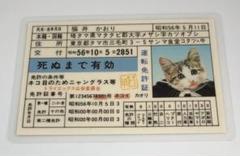 ☆昭和レトロ☆ ラミネートカード なめんなよ なめ猫 猫井かおり