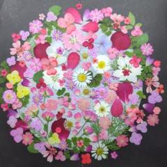 ❉押し花素材❉654