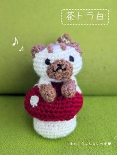 ✨️茶トラ白猫あみぐるみ きのこクッションセット✨️