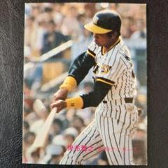 カルビー野球カード 81年 No.178 掛布雅之 (阪神タイガース