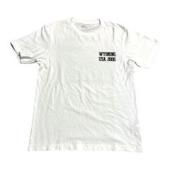 ユニクロ　UT マグナムフォト　Tシャツ　M アートTシャツ