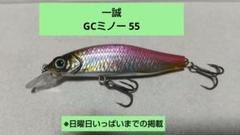 一誠 GCミノー 55 SR-Fのサムネイル