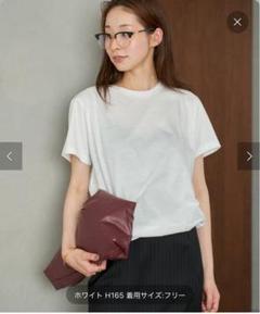 2025年最新】Plage レディース 半袖(Tシャツ) Tシャツ