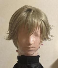 柳蓮二　コスプレ　セット済みウィッグ テニスの王子様 コスプレ 柳蓮二 ウィッグ コスプレ | Shop at