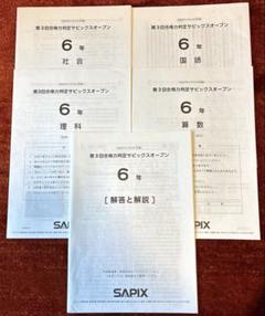 2025年最新】サピックステストの人気アイテム - メルカリ