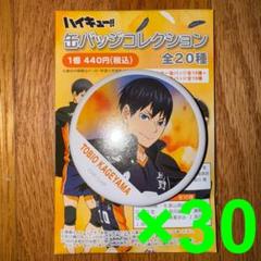 ハイキュー　影山飛雄　横断幕　缶バッジ　20点セット 61pgen9Lm5L._UF350,350_QL50_.jpg
