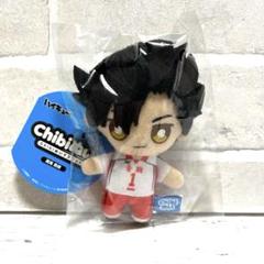 【新品・匿名配送】♡ハイキュー!!♡Chibiぬいマスコット♡黒尾鉄朗♡