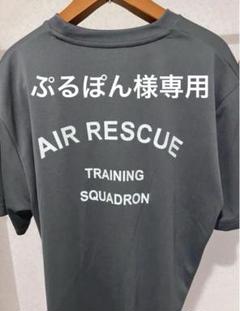 PJ航空救難団　航空救難団　本物Tシャツ新品M 小牧基地限定2枚 PJ航空救難団 航空救難団 本物Tシャツ新品M 小牧基地限定2枚