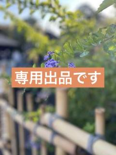 238ken 　LEC 司法書士合格ゾーン　過去問題集 2022年版 全巻 238ken 様専用 LEC 司法書士合格ゾーン 過去問題集 2022年版