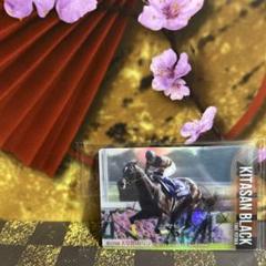 【期間限定値下げ】【希少】ROUND1キタサンブラックサイン入りポスター キタサンブラック】レア！金色箔押しサイン入り - メルカリ