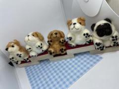 羊毛フェルト 犬の置物 5匹セット
