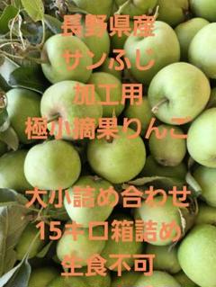 長野県産サンふじ　摘果りんご 加工用のサムネイル