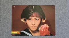 【希少品】スケバン刑事　下敷き　南野陽子　レトロ　懐かしい　当時物 スケバン刑事 南野陽子 下敷き ファイル セット レトロ レア 昔