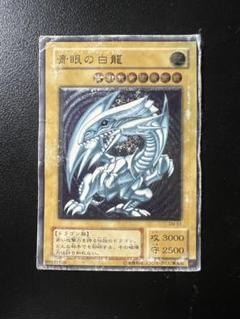 青眼の白龍 レリーフ 超青艶 濃厚青艶 濃い青艶 完美級の通販