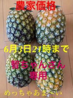 沖縄県石垣島産ゴールドバレル4個入り
