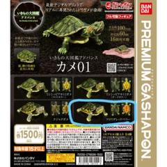 オンライン版 いきもの大図鑑アドバンス カメ01 全4種 コンプセット 新品 ガチャガチャ】いきもの大図鑑アドバンス『カメ01』【あまりにも