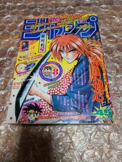 週刊少年ジャンプ 1996年 45号 巻頭カラー ダイの大冒険
