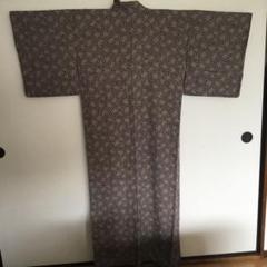 ☆新品 着物 小紋 梅柄 茶 美品