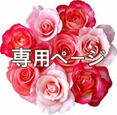 カツー様 専用