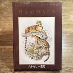 洋書 CLASSIC NATURAL HISTORY PRINTS MAMMALS WHITE LOTUS BOOKS - Classic Natural History Prints Mammals