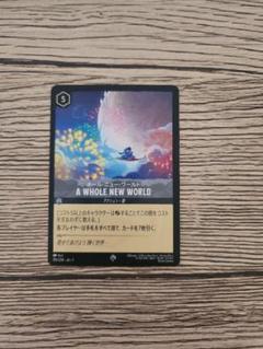 ディズニー ロルカナ ホールニューワールド他 スティール 歌 セット メルカリ便 61zYC5VcksL._UF350,350_QL50_.jpg
