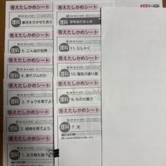 小学3年生 国語 カラーテスト てびきシート 1年間分