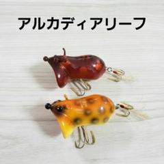 2025年最新】アルカディアリーフ ルアーの人気アイテム - メルカリ