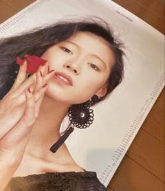 中森明菜【新品】ポスター　カレンダーB1サイズ1030✕728cm　ALDEA 中森明菜 新品未使用 ポスター B1特大サイズ1030✕728cm ALDEA