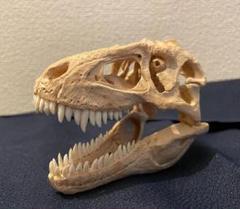 世界に一つ 恐竜 リトロナクス Lythronax 木彫 1/10 頭骨模型