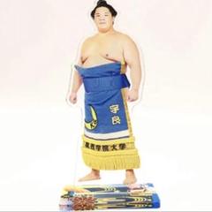 2025年最新】相撲 宇良の人気アイテム - メルカリ