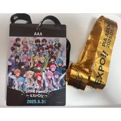 マニア向け】初音ミクヨーロッパ限定銀テープ