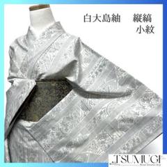 小紋　白大島紬　縦縞　花模様　菊花　楓　着物　062a p