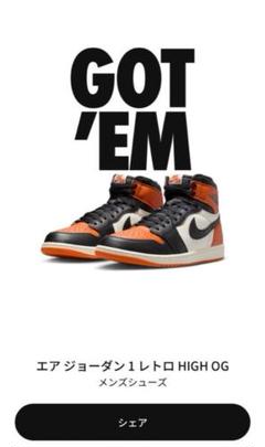 Air Jordan 1 High Shattered Backboard