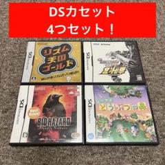 NINTENDO DS カセット セット