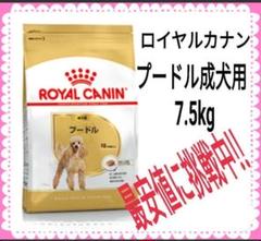 ロイヤルカナン プードル 成犬用 7.5kg