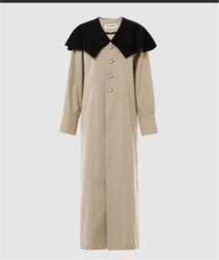 coat dressのサムネイル