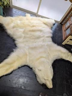 シロクマの剥製 シロクマ剥製 - メルカリ