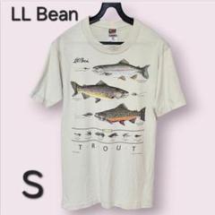 LLBean メンズ S Tシャツ FRUIT OF THE LOOM 渓流釣り 最終価格 LLBean メンズ S Tシャツ FRUIT OF THE LOOM - メルカリ
