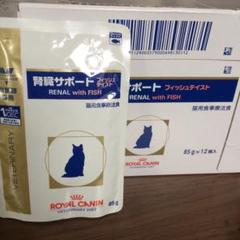 ☆ロイヤルカナン 猫用 腎臓サポート12個+1個