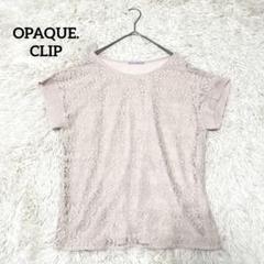 【オペークドットクリップ】フレンチスリーブレースブラウス(M)洗える　カットソー